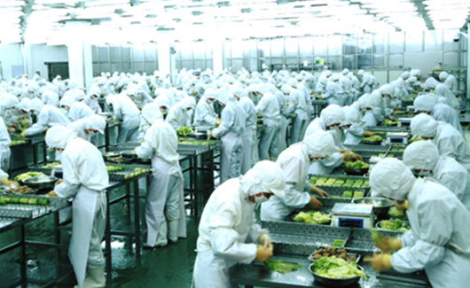 求索企業可持續 走進龍大，探訪生態農業產業鏈中的農產品生產